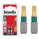 KWB Titan bit nastavak za odvijač Torx T40 2/1 (124240)