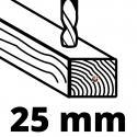 Einhell TC-ID 18 Li Solo Power X-Change akumulatorska udarna bušilica (4513960)