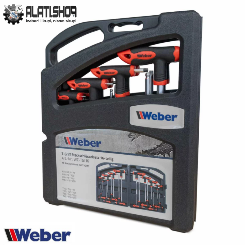 Weber set Torx i Inbus ključeva sa T ručkom 16-dijelni (WZ-TGI169)